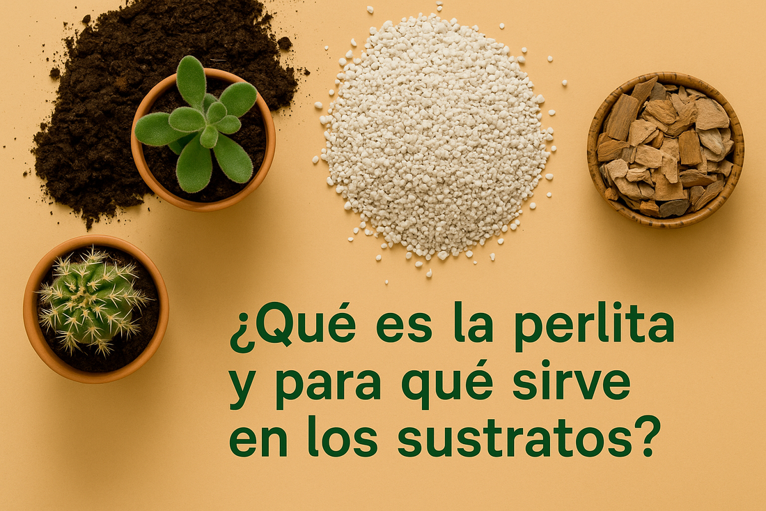 ¿Qué es la perlita y para qué sirve en los sustratos?