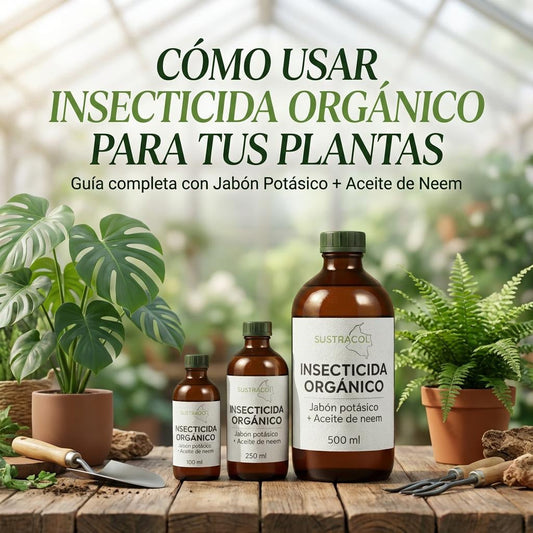 Aplicación de insecticida orgánico de jabón potásico y neem en plantas de huerto casero